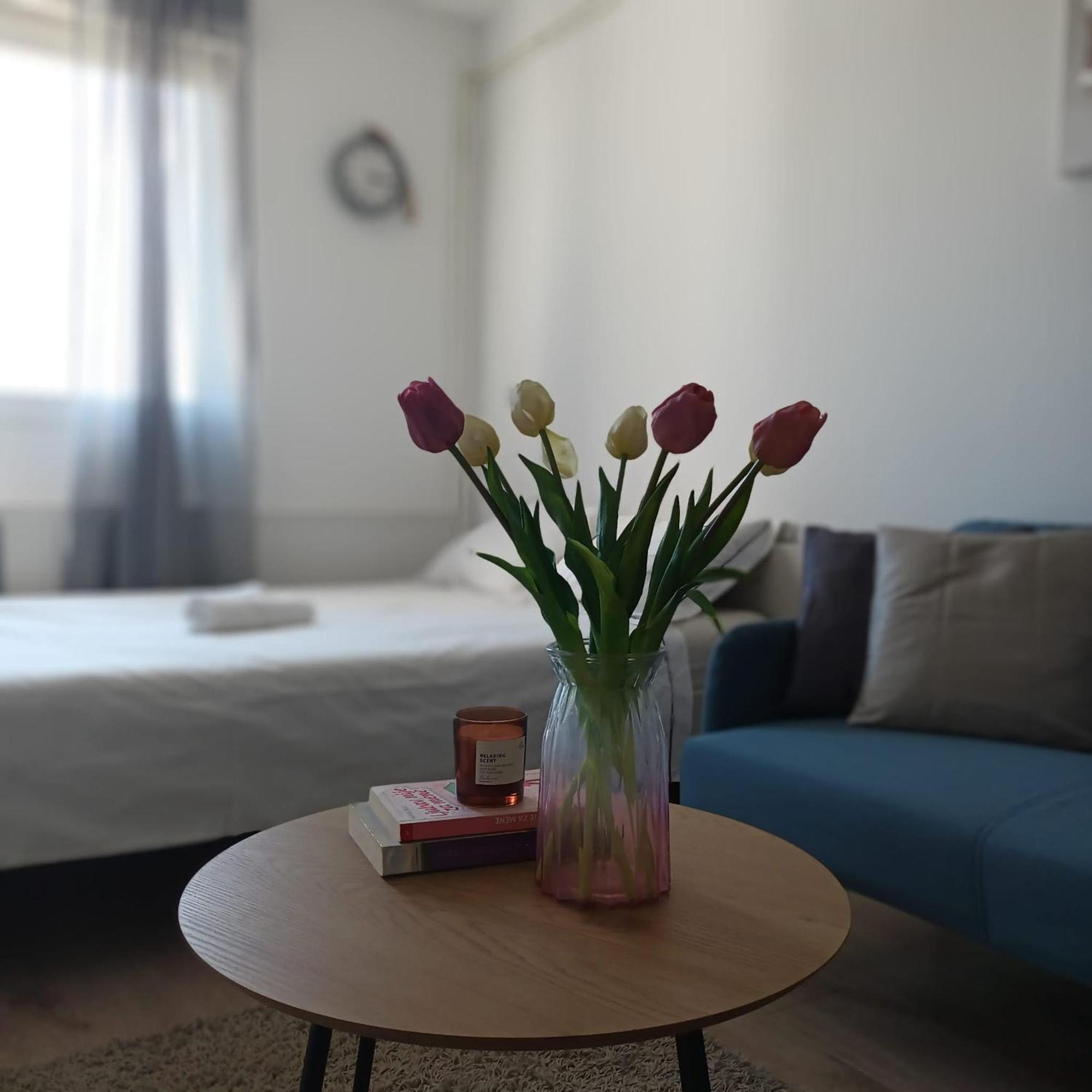 Modern Studio Near City Center 萨格勒布 外观 照片